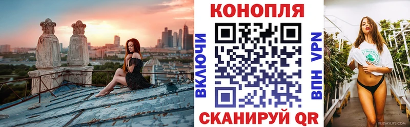 Купить  Керчь  Шишки марихуана планчик 